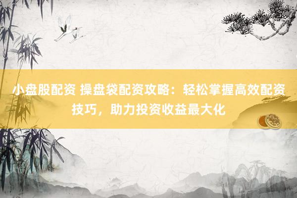 小盘股配资 操盘袋配资攻略：轻松掌握高效配资技巧，助力投资收益最大化