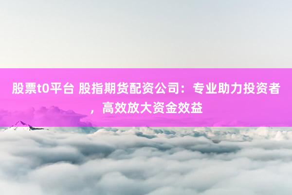 股票t0平台 股指期货配资公司：专业助力投资者，高效放大资金效益