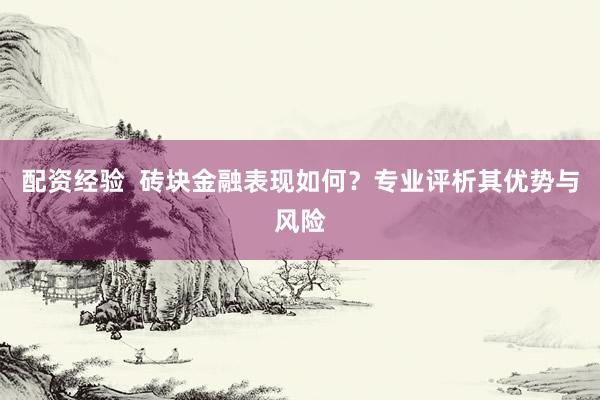 配资经验  砖块金融表现如何？专业评析其优势与风险
