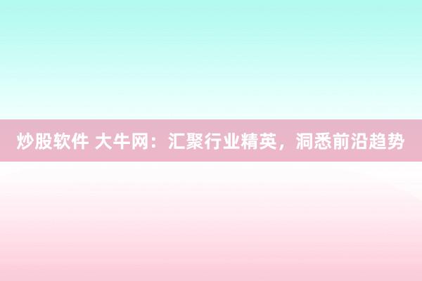 炒股软件 大牛网：汇聚行业精英，洞悉前沿趋势