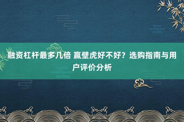 融资杠杆最多几倍 赢壁虎好不好?选购指南与用户评价分析