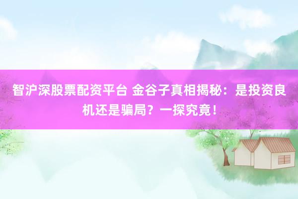 智沪深股票配资平台 金谷子真相揭秘：是投资良机还是骗局？一探究竟！