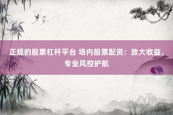 正规的股票杠杆平台 场内股票配资：放大收益，专业风控护航