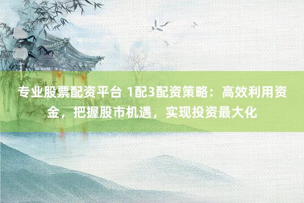 专业股票配资平台 1配3配资策略:高效利用资金,把握股市机遇,实现投资最大化