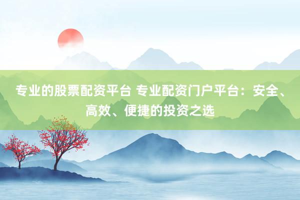 专业的股票配资平台 专业配资门户平台：安全、高效、便捷的投资之选